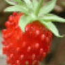 ntpntpntp